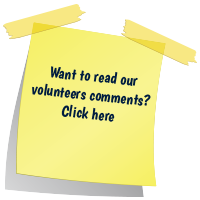 Volunteer comments