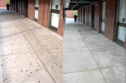 A sidewalk outside a commercial building before and after we cleaned it