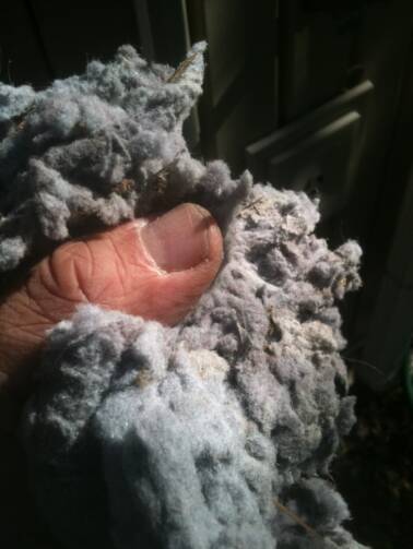 Lint and other debris in dryer vents can catch on fire.